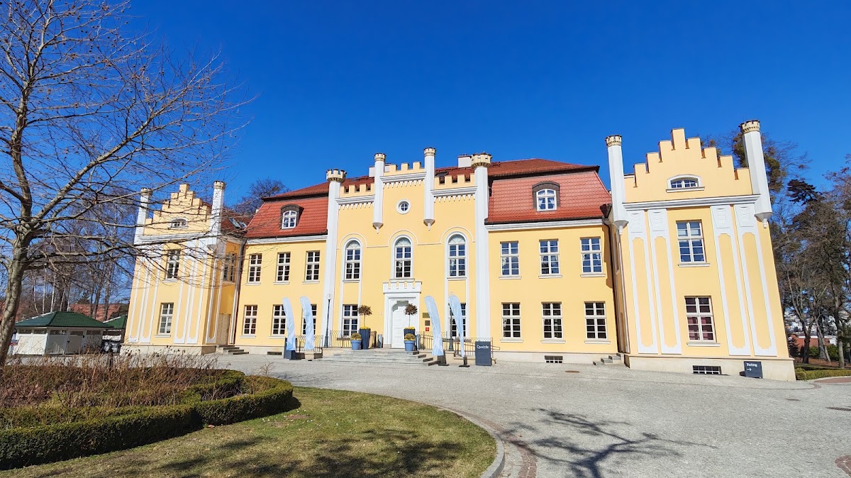Biały Królik - zdjęcie 3