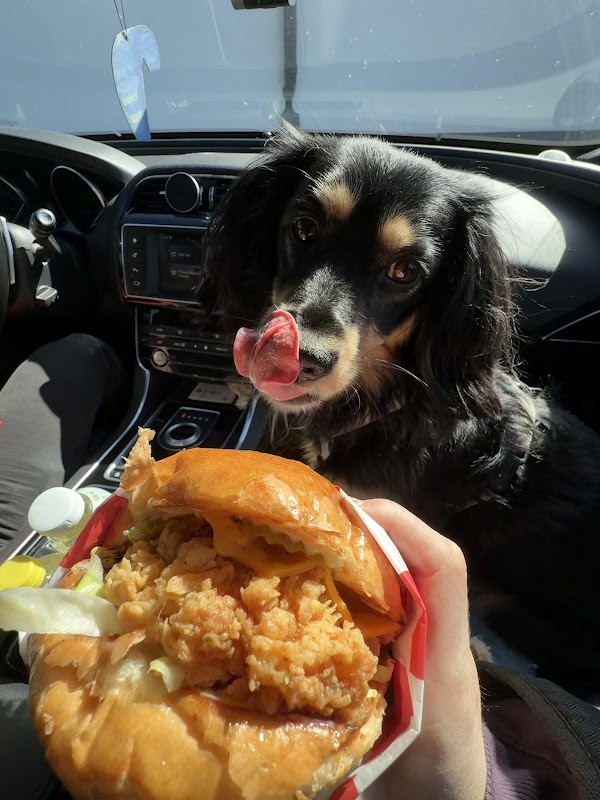 Chick’n Go - zdjęcie 4